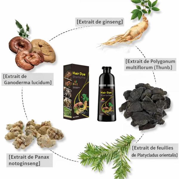 Shampoing Colorant 3-en-1 – Noir Naturel | Anti Cheveux Blancs + Soin + Brillant 500 ML