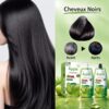 Shampoing Colorant Apple 🍏 – Noir Naturel | Sans Ammoniaque | Effet Rapide 500 ML + 500 ML